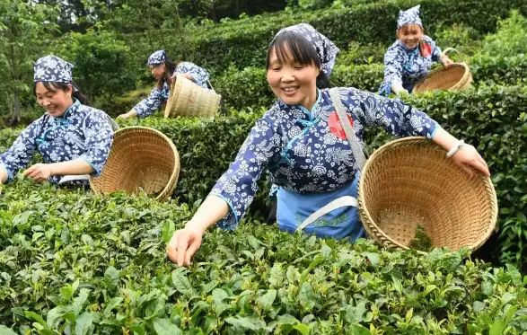 长风大悦城-长风公园（苏州河畔亲子露营搭子）到底有多好玩？这篇全攻略带你解锁周末新姿势🏕️