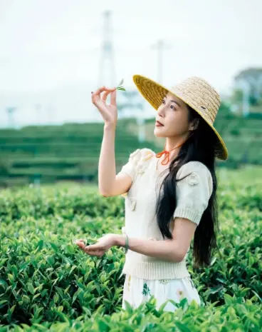 长风公园苏州河畔露营+真如羊肉馆老字号+普陀中环百联宵夜，普陀一日神仙动线全曝光🔥