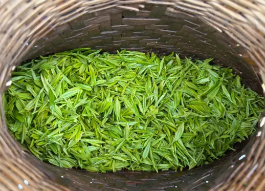 上海乐开书店：徐汇社区书店里的文化宝藏🌟